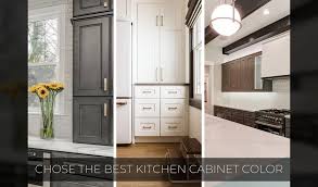 Top 10 Kitchen Cabinets Colors Which