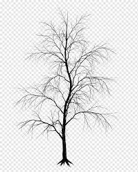 View aesthetic tree in videos (10868). Tree Drawing Branch Watercolor Tree Leaf Monochrome Plant Stem Png Pngwing