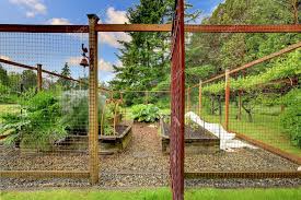 Vegetable Small Fenced Garden Stock