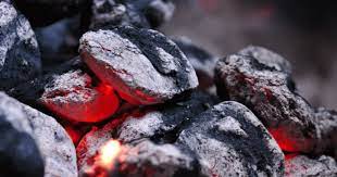 Charcoal Briquettes As A Deodoriser For