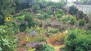 Hillside Terrace Gardens Grown By You