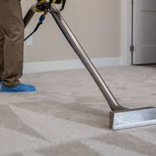 rug cleaning hobart the hobart carpet