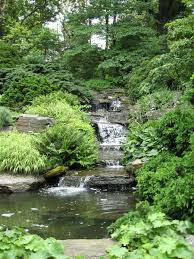 The new york botanical garden is a very driven, friendly environment where thousands of guests each day come to visit and spend their leisure. Chasing The Bronx Waterfalls Water Features In The Garden Ny Botanical Garden Waterfalls Backyard