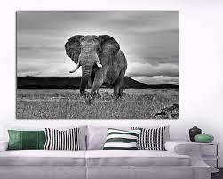 African Elephant Walking Black And