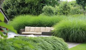 Der herbst ist immer auch die jahreszeit der gräser, weiß manig. Gartentrends 2020 Mein Traumgarten