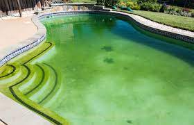 how to clear up a green pool eversole