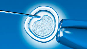 SLS's Hank Greely Breaks Down the Alabama Wrongful Death Case Involving Frozen Embryos - Legal Aggregate - Stanford Law School