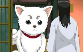 Because dog girls are better than cat girls, awawawawawa! Top 10 Best Anime With Dogs Top Dog Tips