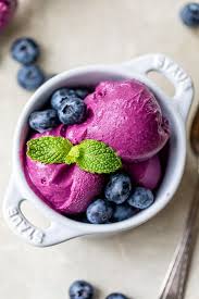 blueberry frozen yogurt skinnytaste