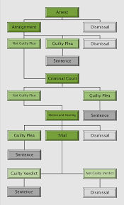 Criminal Justice System Processing Flow Chart Philippine