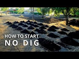 How To Make A No Dig Garden Bed
