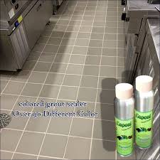 After sentura has dried up, you can permanently seal the grout lines with our shower grout sealer. 22 Epoxy Grout Sealer Ideas Grout Sealer Epoxy Grout Grout
