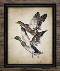 Duck Watercolor Painting Printable Duck