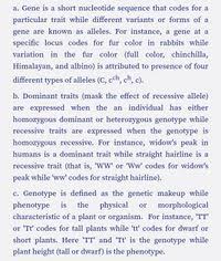 d zygote and heterozygote of an