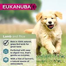 eukanuba dry puppy food large breed
