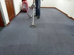 1 steam carpet cleaning