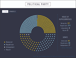 u s congress infographic