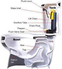 how a toilet works  (anatomy of a