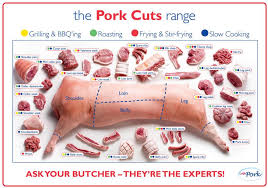 Pork Cuts Pig Diagram Poster High Quality Canvas Oil