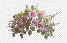 garden roses cabbage rose cut flowers
