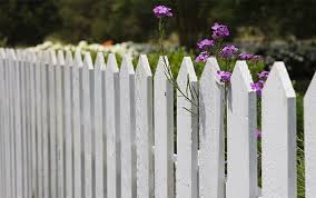 Asbestos Fence Replacement Options