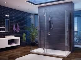 Frameless Shower Doors