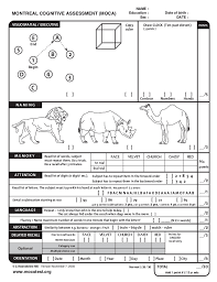 The cdt was administered and scored by five raters using the method derived from the montreal cognitive assessment (moca), rouleau's, and babins' scoring systems. Moca Dementia Screening Tool