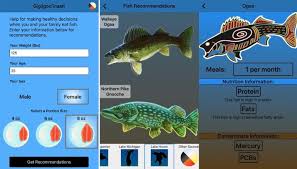 fish consumption app for anishinaabe
