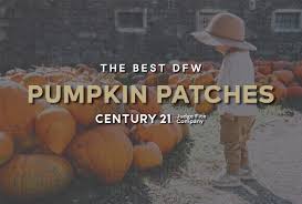 the best dfw pumpkin patches century