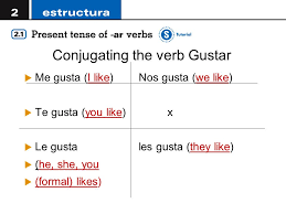 Conjugating The Verb Gustar Notes 14 Standard 1 2