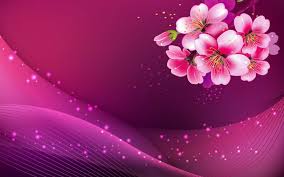 Pink Cherry Blossom And Vector Icons 3d