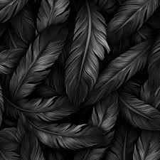 premium photo black feathers on a