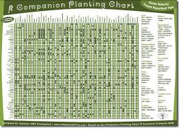 Companion Planting Guide Companion Gardening Companion
