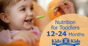 nutrition for toddlers 12 24 months