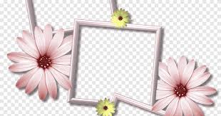 frames desktop collage daisy border