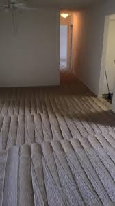 carpet restoration experts for property
