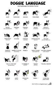 25 Best Dog Body Language Images Dog Body Language Dog