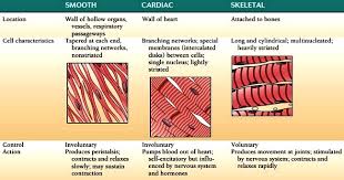 Skeletal Tissues