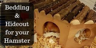 bedding and hideout for your hamster