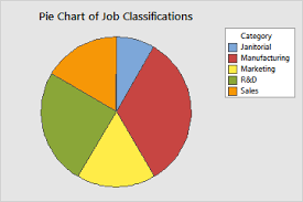 interpret the key results for pie chart