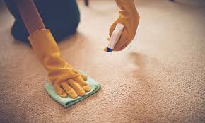 carpet or mattress cleaning organic