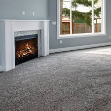 hire a carpet cleaning company