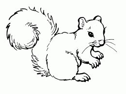 Print and color fall pdf coloring books from primarygames. Free Printable Squirrel Coloring Pages For Kids Squirrel Coloring Page Animal Coloring Pages Squirrel Clipart