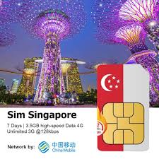 singapore travel sim 100gb data
