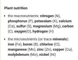 Unlike macronutrients, you only need small amounts of micronutrients. List The Micronutruents And Micronutrients Required By Plants Brainly In