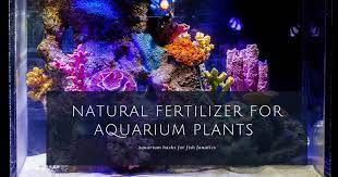 natural fertilizer for aquarium plants