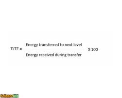 calculating the transfer of energy