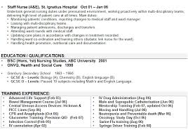 Care Nursing Resume Example 