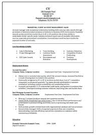 Resume Curriculum Vitae  CV  Review