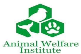 The animal welfare board of india which is the authority for animal matters in india, being under ministry of fisheries, animal husbandry and dairying, govt of india, has issued a notice to allow animal lovers and feeders to continue feeding the animals dependent on them as an essential. Animal Welfare Board Of India Headquarters Shifted From Chennai To Ballabhgarh
